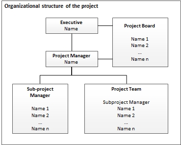 Project Management Organizational Chart